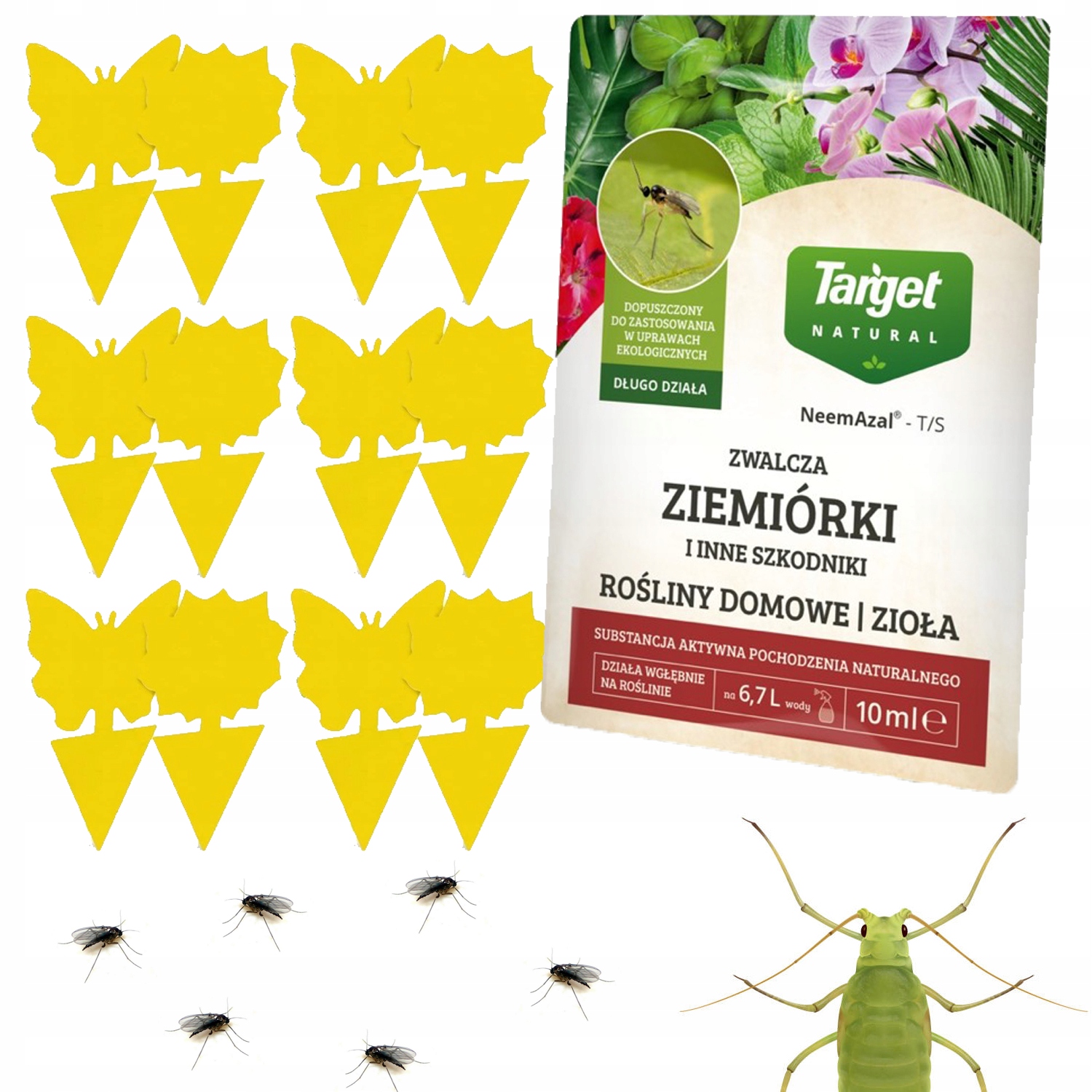 12x ŽLTÝ ČREVNÍK SKLENENÝ BOTTERFLY Hmyz Zeme